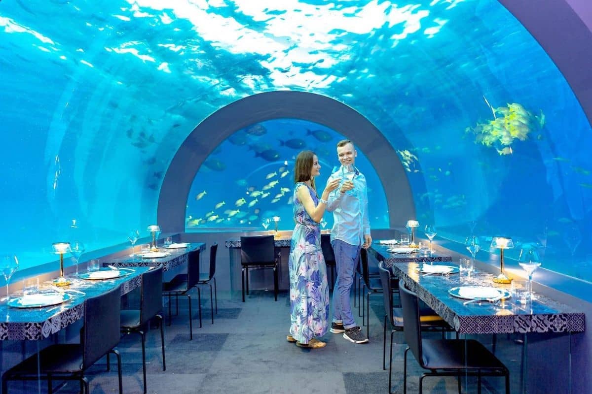 H2O Underwater Restaurant by You & ME Cocoon Maldives , Welcomes Guests starting 15th July 2020.