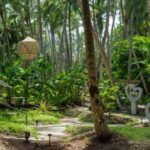 palm trees and greenery of Maldives resort Amilla