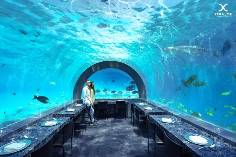 underwater restaurant H2O at you & me maldives