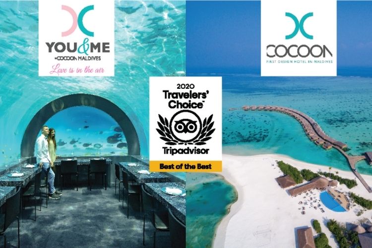Cocoon and You & Me by Cocoon wins tripadvisor traveller's choice.
