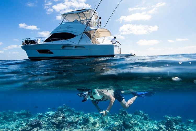 underwater corals and diving gili lankanfushi