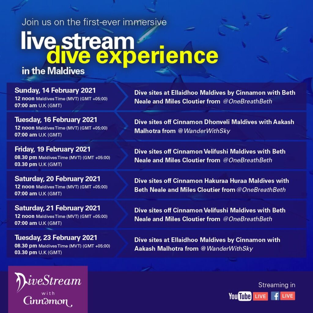 Live stream dive experience