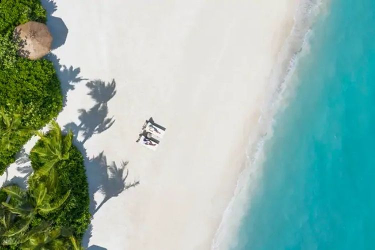 aerial view of beach in the maldives