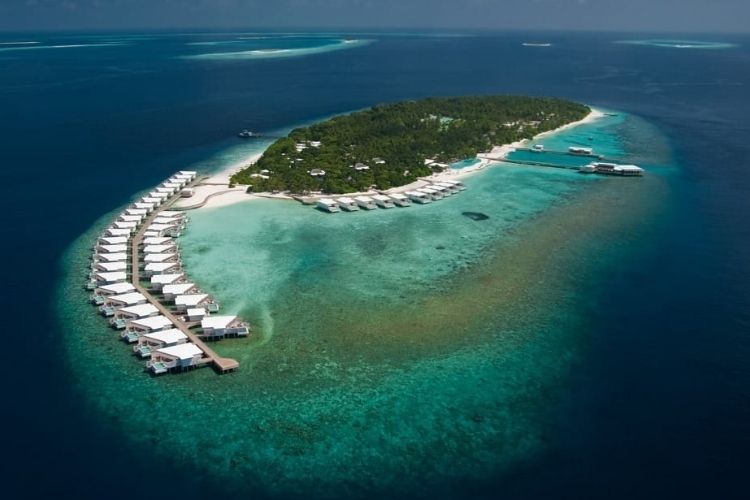 Amilla Maldives Celebrates Sustainability Day