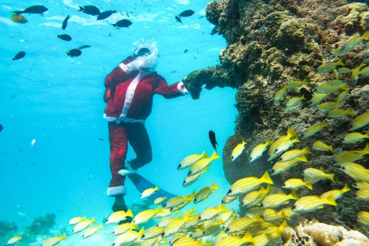 Crown & Champa Resorts Reveals the Round-up of Festive Programmes Across its Resorts in the Maldives