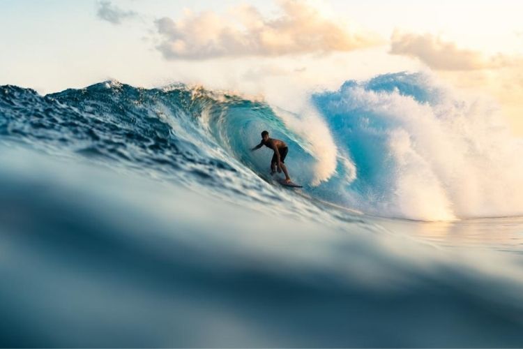 Live Aboard a Liveaboard in Maldives