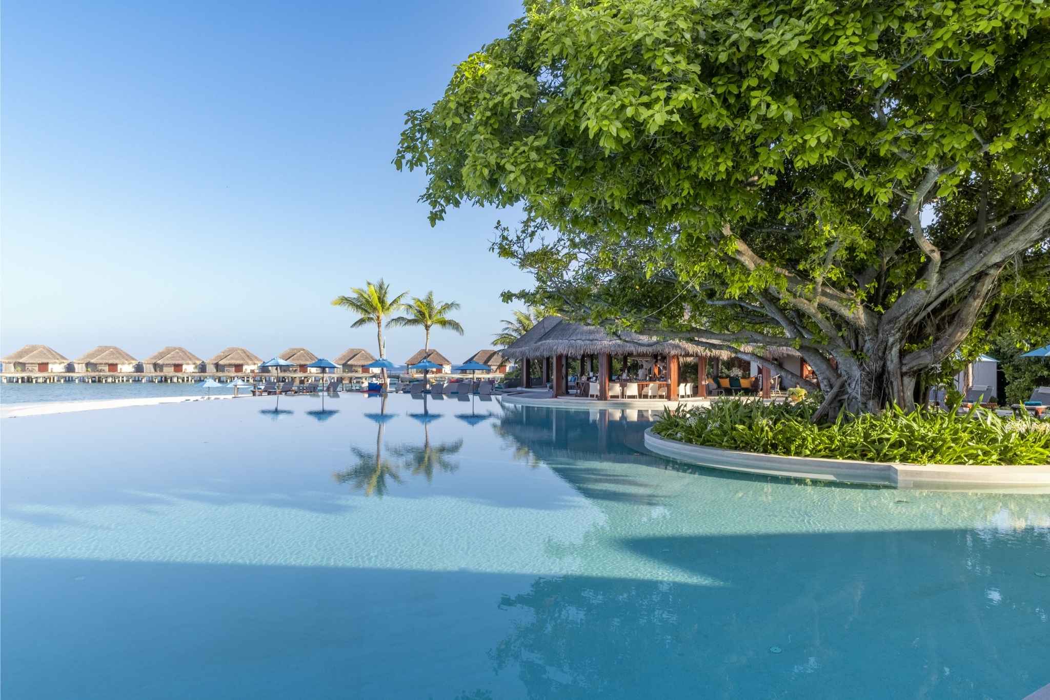 Dusit Thani Maldives Pool Exterior