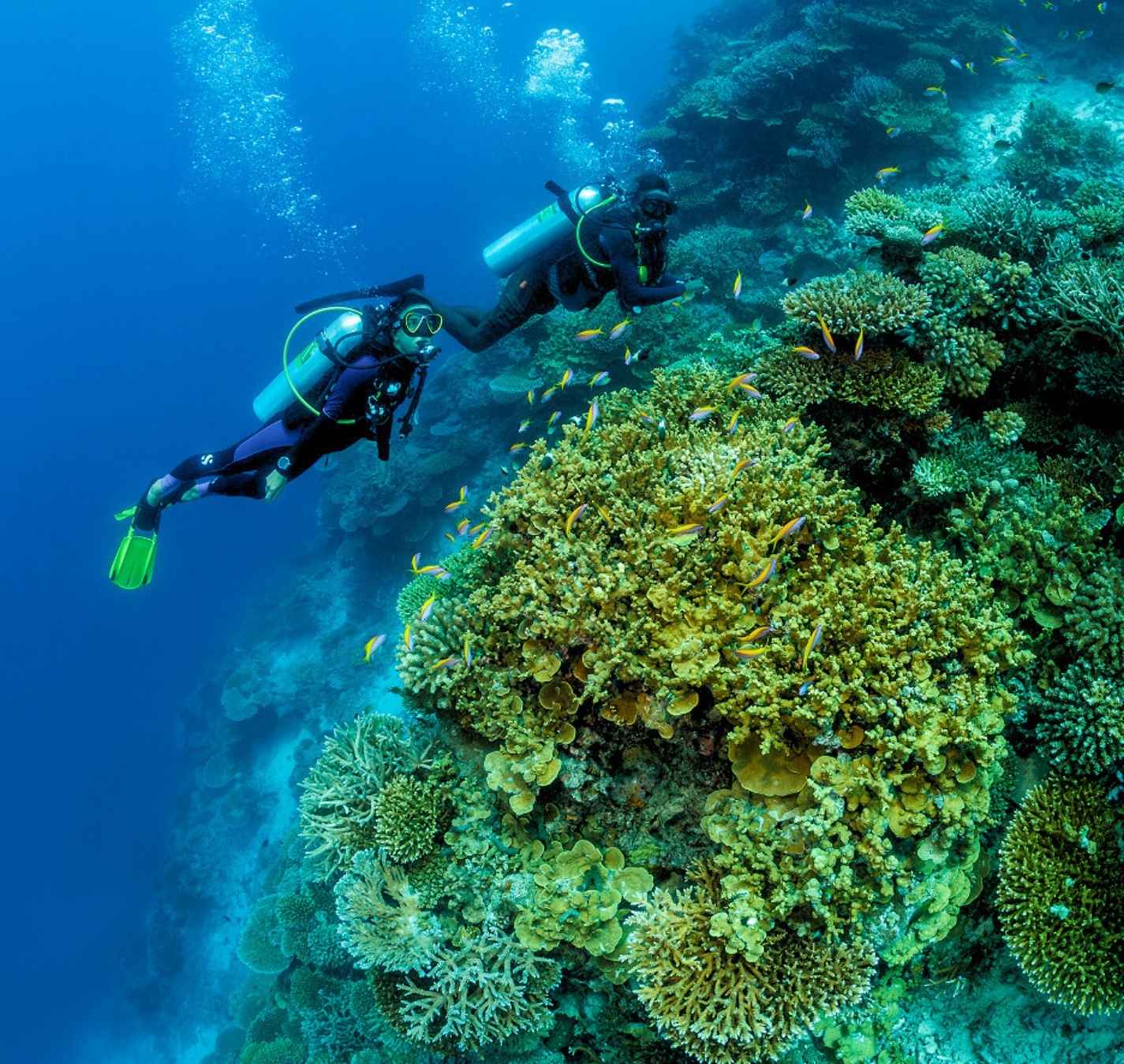 Maamutaa House Reef unveiled at Pullman Maldives Maamutaa Resort
